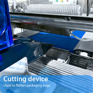 Machine d'emballage de type oreiller à grande vitesse pour produits de la mer, pour l'emballage d'algues séchées et de peau de méduse séchée - Product Image 4