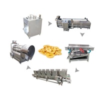 Automatische productielijn voor aardappel-, banaan- en plantainchips tegen fabrieks prijs, elektrische groente- en fruitsnijder, friteuse, cutter, snackvoedselfabriek