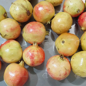 Tự động thép không gỉ lựu da loại bỏ máy lột nhấn hạt separator deseeder cho chế biến trái cây - Product Image 5