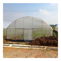 Serre en acier à travée unique pour légumes et tomates, grande serre agricole à structure métallique et film plastique, serre tunnel