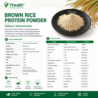 Poudre de protéines de riz brun de haute pureté, soluble dans l'eau, protéines végétales pour remplacement de repas, nutrition sportive, marque privée