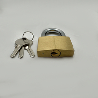 Cadenas en laiton diamanté 20-60 mm, petit cadenas de sécurité pour bagages, grand cadenas de porte, cadenas à clé