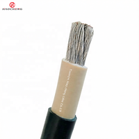 JBQ High Temperature Motor Lead Cable Oil Resistant Flexible 0.66/1.14kV for Industrial Motors