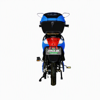 Bicicleta Eléctrica Urbana con Batería de Plomo-Ácido de 48V, Cuadro de Acero de 3 Velocidades, Ruedas de 16 Pulgadas, Motor en el Buje Trasero, hasta 50 km/h, Autonomía de 31-60 km