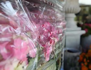 تجارة الصين البليت تنفس مع شفافية عالية تنفيس المعاوضة تمتد الفيلم مع ثقوب مثقبة - Product Image 5