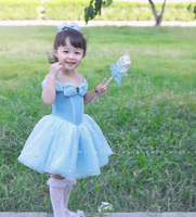 Robe de tutu bleue pour filles, costume de danse de princesse, robe de danse pour spectacle de ballet pour enfants
