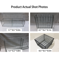 Panier en treillis métallique galvanisé soudé de haute qualité, produit par une usine professionnelle certifiée CE ISO, pour mur en pierre, table, poêle