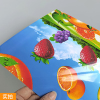 Rouleaux de papier photo autocollant mat brillant pour imprimante à jet d'encre 115g 135g 150g 180g