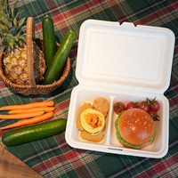 Emballage biodégradable Emballage de pulpe jetable à 2 compartiments pour boîte à lunch jetable de bagasse de canne à sucre alimentaire
