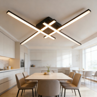 Plafonnier LED Minimaliste en Acrylique, Lampe de Plafond Moderne pour Salon, Chambre à Coucher, Éclairage Intérieur, Luminaire Décoratif