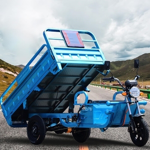 Best Selling 1000W Electric Cargo Tricycle with <b>2</b> <b>Passengers</b> 48V Motorized Three-Wheel Car Available Open Closed Body Types Sale - Product Image 4