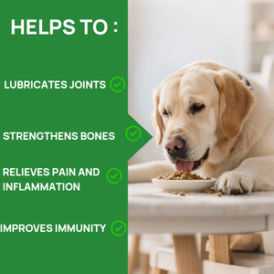 Omega-3 glukozamin faydaları ile yaşlı köpekler için takviyeler Pet sağlık ve destek için Chondroprotector ortak takviyesi - Product Image 3