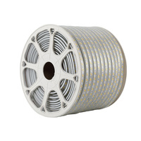 Bande lumineuse LED SMD5050 étanche RGB IP65, flexible, souple, pour la décoration