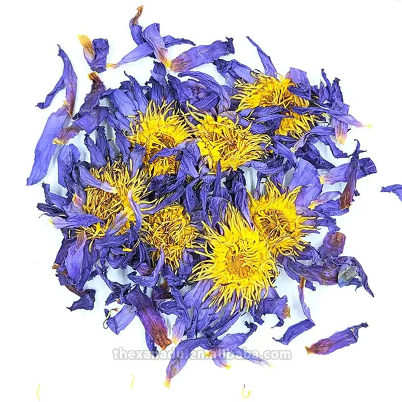 Pasar EU memenuhi Bunga Lotus Biru kering alami organik 0 aditif bunga ramuan grosir Mesir Nymphaea teh Tetragona