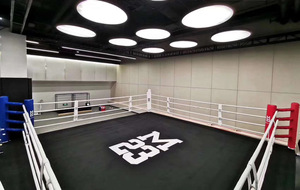 <span class=keywords><strong>Ring</strong></span> de <span class=keywords><strong>Boxeo</strong></span> Profesional Usado Más Vendido, 4m*4m, Estándar AIBA, Acero Estructural de Alta Resistencia, Precio de Venta - Product Image 6