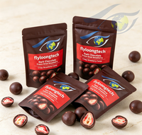 OEM & Lage MOQ Gedroogde Aardbeien Chocoladechips, Fruitchips met Donkere Chocolade Coating