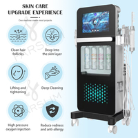 Machine d'hydrodermabrasion Hidrafacial stable à 17 fonctions, machine de formation Alice Beauty Academy, machine pour la peau, revitalisation de la peau