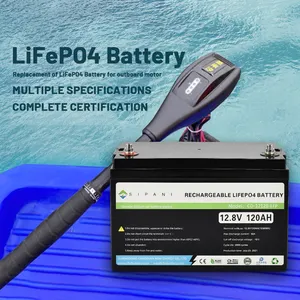 12v 24v 36v 48v Lifepo4 50ah 60ah 100ah लिथियम बैटरी पैक के लिए Lifepo4 बिजली समुद्री नाव प्रोपेलर Outboat मोटर Trolling