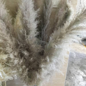 EG-A145 पम्पस पौधे सूखे फूल घर इनडोर सजावट कृत्रिम पौधे विवाह की सजावट - Product Image 3