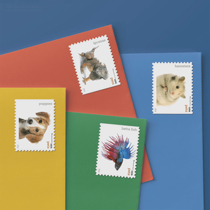 Sellos Postales Forever <span class=keywords><strong>de</strong></span> EE. UU. para Mascotas 2016 al por Mayor, Sellos Postales Forever <span class=keywords><strong>de</strong></span> EE. UU. para Envíos, Stock Local, Varios Sellos Adhesivos a Granel para Sobres - Product Image 1