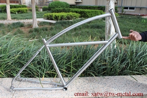 Tùy chỉnh thép Đĩa Phanh Xe Đạp khung sỏi xe đạp ngã ba và Rack cho đường sử dụng - Product Image 4