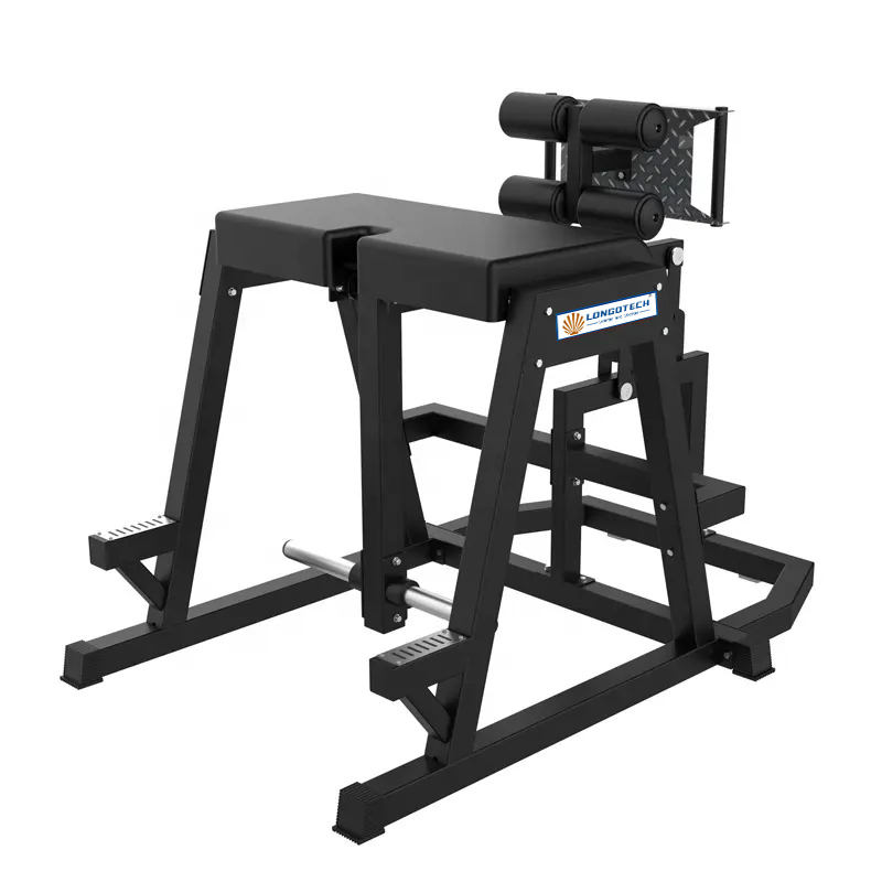Longglory Reverse Hyperextension Machine - Back Exercise