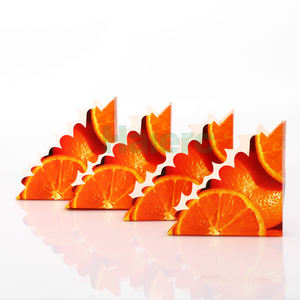 Piège à mouches jetable Haierc avec adhésif puissant, plaque collante carrée pour attraper les mouches, à fixer sur la fenêtre, répulsif contre les nuisibles - Product Image 2