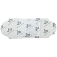 Patch thermique à base de plantes pour le soulagement de la douleur Moxa plâtre pour les fournitures de thérapie de rééducation