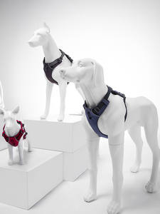 Nouveau <span class=keywords><strong>Mannequin</strong></span> de Poitrine et de Dos pour Chien en Fibre de Verre Détachable, Modèle G9 Entièrement Fait Main pour Vêtements pour Animaux et Présentations en Direct Dugao Dog Show - Product Image 4