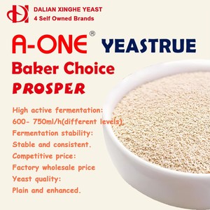 ยีสต์ผงแห้งสำเร็จรูปชนิดแอคทีฟสูง 500 กรัม 450 กรัม 125 กรัม 100 กรัม 11 กรัม 5 กิโลกรัม 10 กิโลกรัม 25 กิโลกรัม โรงงานผลิตยีสต์สำหรับแป้งขนมปัง ยีสต์หมักเร็ว - Product Image 5