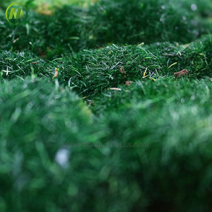 Natural Real <strong>Moss</strong> Wall Art Frame For Home Office Decor Green Wall <strong>Moss</strong> Natural Preserved <strong>Moss</strong> Wall - Product Image 3