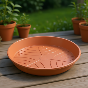 Plateau en terre cuite GELI Standard Saucer 24cm, lot de 20 - Product Image 3