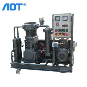 Aot Custom Methaangas Compressor Speciale Chloormethaan Compressor Machine