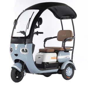 โรงงานผู้ผลิตขายส่งรถสามล้อไฟฟ้าสำหรับผู้ใหญ่ กำลังไฟ 60V 72V 1000W มอเตอร์ทรงพลัง แบบมีหลังคา  ขายดี - Product Image 1