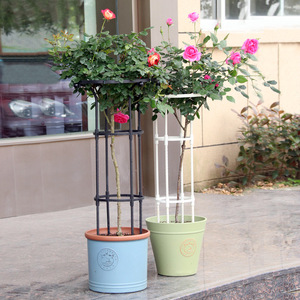 Traliccio in ferro per piante rampicanti e rose, supporto per piante da interno con design a testa di fungo - Product Image 3