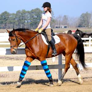 Bota de Hielo para Caballos, Envolturas de Hielo para Lesiones Equinas, Bota de Hielo Reutilizable para Patas de Caballo con Correas Flexibles - Product Image 3