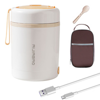 Boîte à lunch électrique USB en acier inoxydable, étanche, 600 ml, pour l'école, la voiture, le camion, le pique-nique, réchauffeur de nourriture