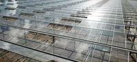 Grote multi-span klimaatkamer voor de teelt van groenten, bloemen en fruit met automatische irrigatie