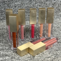 Rouge à lèvres mat Brillant à lèvres Marque privée Vente en gros Logo personnalisé Longue durée Étanche Nude Liquide Rouge à lèvres Herbal Mineral