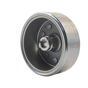 Pièces détachées de <span class=keywords><strong>moto</strong></span> à trois roues Bajaji de haute qualité, 250cc, 300cc, refroidies par eau, 12 niveaux, <span class=keywords><strong>stator</strong></span> magnéto, volant d'inertie - Product Image 6