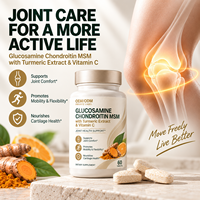 Comprimés de Glucosamine, Chondroïtine et MSM avec Curcuma et Vitamine C pour la Santé Osseuse – Vente Directe Usine, OEM/ODM, pour Adultes