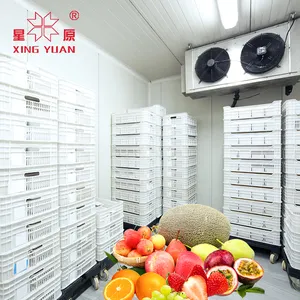 walk in cooler cold room for meat fish ice cream cold store room fruit and vegetable cold storage room meter 10 mt cold storage