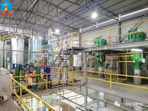 Línea <span class=keywords><strong>de</strong></span> producción automática 20-100T/D para semillas <span class=keywords><strong>de</strong></span> girasol, prensadores <span class=keywords><strong>de</strong></span> <span class=keywords><strong>aceite</strong></span> <span class=keywords><strong>de</strong></span> refinación para aceites <span class=keywords><strong>de</strong></span> soja, sésamo, almendras y nueces - Product Image 6