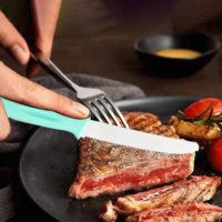 Ensemble de 6 couteaux à éplucher et à steak, manche en PP, lame en acier inoxydable, logo personnalisé, OEM/ODM, échantillon pour usage en buffet