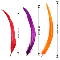 Plumes de Coq Teintées en Gros de Haute Qualité pour Décoration de Carnaval et de Festival