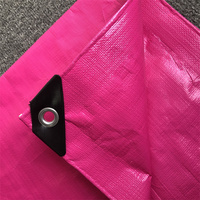 Bâche en PE de haute qualité à prix abordable, imprimée par machine, résistante à l'eau et aux UV, tricotée chaîne, tissée industrielle, enduite et à motifs