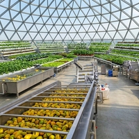 Automatische turnkey sinaasappelsapverwerkingsmachine 2026, citrus sap NFC productielijn, hoge capaciteit