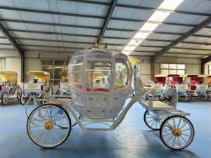 Carruaje de boda de acero de lujo de estilo europeo cómodo con producto de transporte especial de combustible eléctrico - Product Image 4