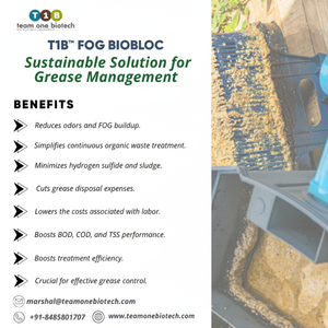 Trampa de Grasa de Plástico con Bloqueador de Bacterias para un Control Efectivo del Lodo - Product Image 1