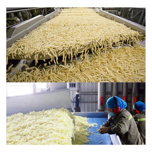 Linea De Production De Papas Semi Fritas Linea De Production Pequena De 150-2000 kg Linea De Papas Fritas - Product Image 4